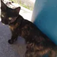 Tina