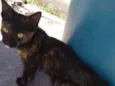 Tina