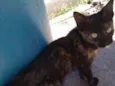 Tina