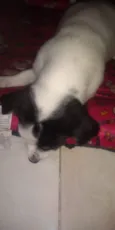 Kiara