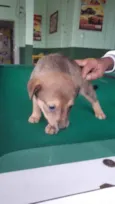Bebês fofos