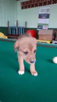 Bebês fofos