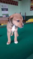Bebês fofos