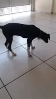 Nina