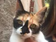 Lili