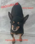 NICK