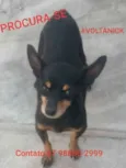 NICK