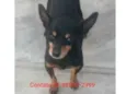 NICK
