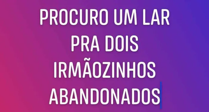 Cachorro ra a Indeterminada  idade Abaixo de 2 meses nome Sem nome ainda
