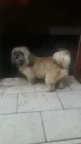 Fred