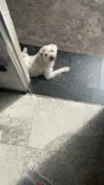 Billy