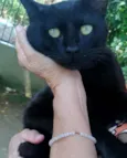 Mimi