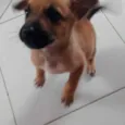 Edy