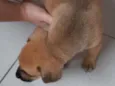 Edy