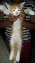 Dexter
