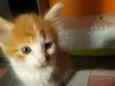Dexter