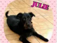 Julie