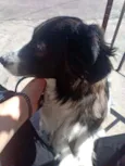 Billy