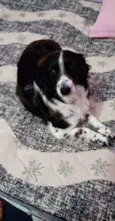 Billy
