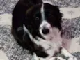 Billy