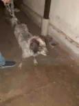 Marley