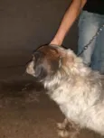Marley