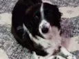 Billy
