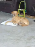 Romeu