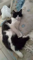 Mel