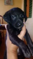 Sem nome