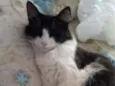 Mel