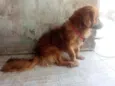 Scooby