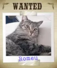 Romeu