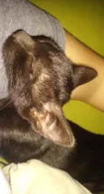 Astrid e Athena