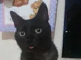Ticho