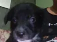 Sem nome