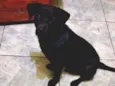 Ralph