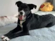 Théo
