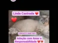 Jovem