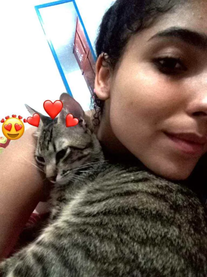 Gato ra a Vira lata  idade 7 a 11 meses nome Tom 