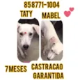 Taty e Mabel 