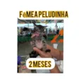 Joao
