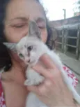 Zoi