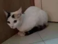 Mia