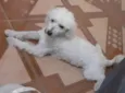 Sem nome 