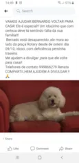 Bernardo