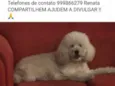 Bernardo