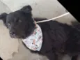Luck