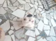 Não tem