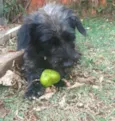 Francisco